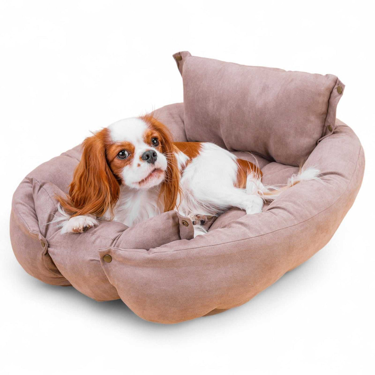 Leichte, waschbare 3in1 Hundematte - Hundekissen Hundebett