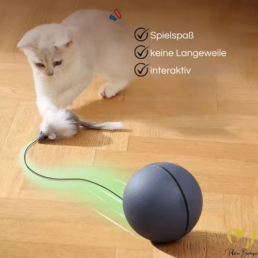 Intelligentes Katzenspielzeug, Ball für Katzen, Selbstbeschäftigung & Bewegung