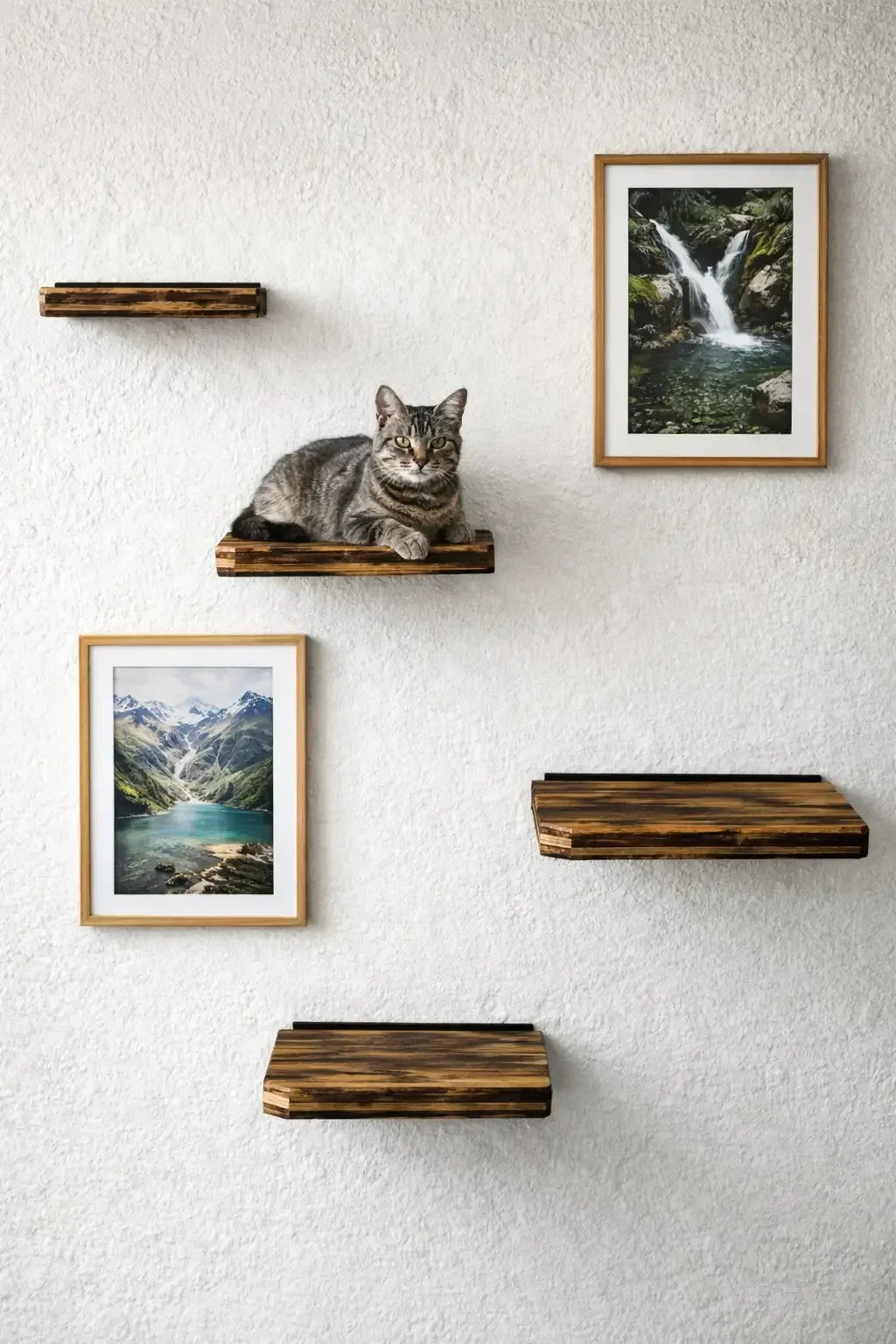 Eckpodest natur - Kletterpodest aus Massivholz für die Katzenwand