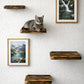 Podest abgeflammt - Katzenpodest für die Wand