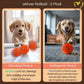 ROLLIBALL Hundespielzeug Hundeball - Bewegungs-, Sprung- und Drehfunktionen