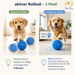 Rolliball Hundespielzeug – beweglicher Ball für Hunde