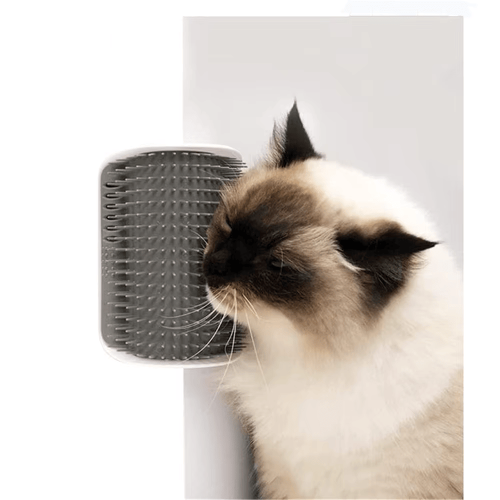 Katzenschnurrer nutzt die FELLZAUBER Katzenbürste zur Fellpflege für Katzen und genießt die Massage.