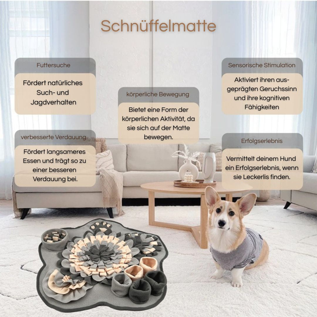SCHNÜFFELMATTE - ideale Auslastung deines Hundes mit dem Schnüffelteppich