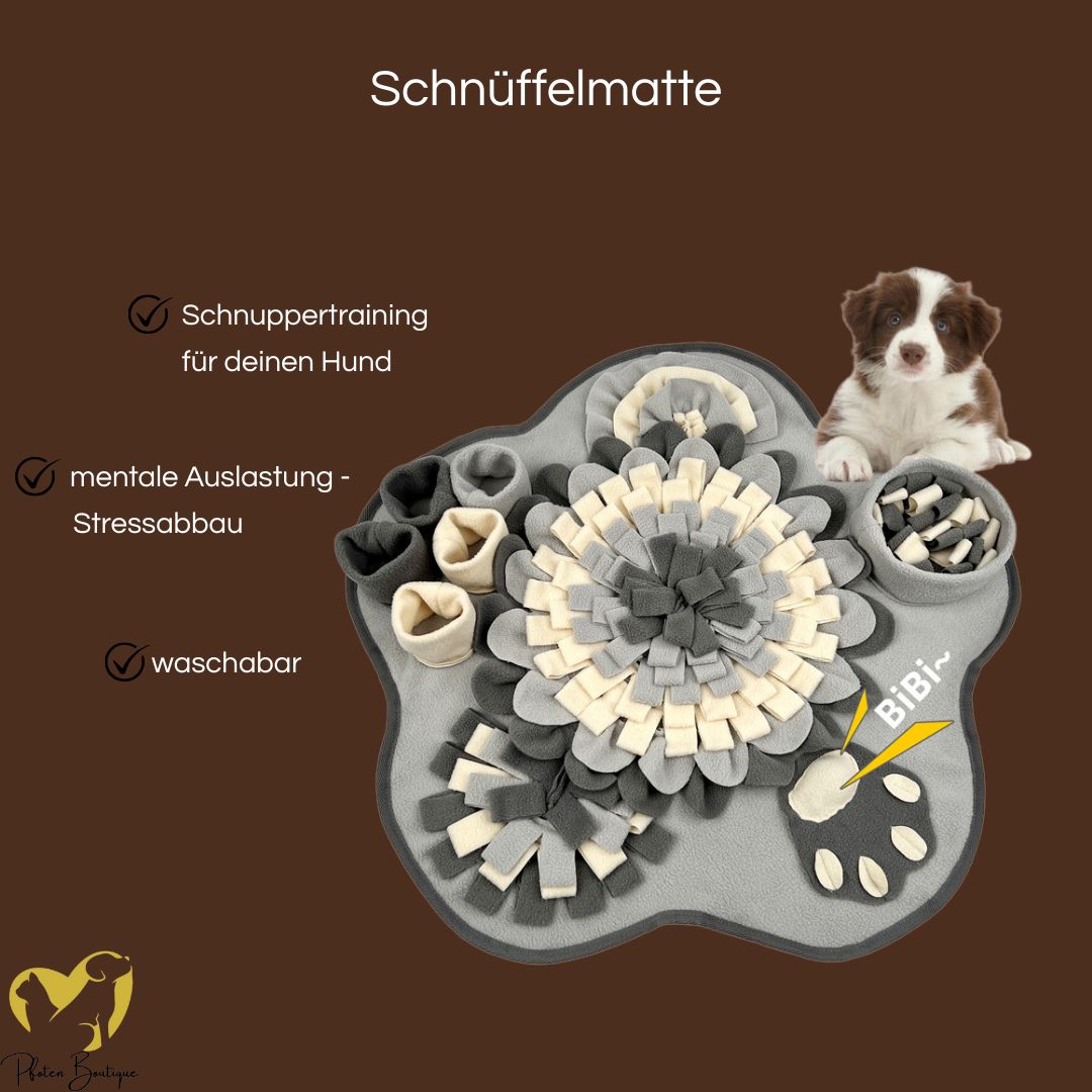 SCHNÜFFELMATTE - ideale Auslastung deines Hundes mit dem Schnüffelteppich