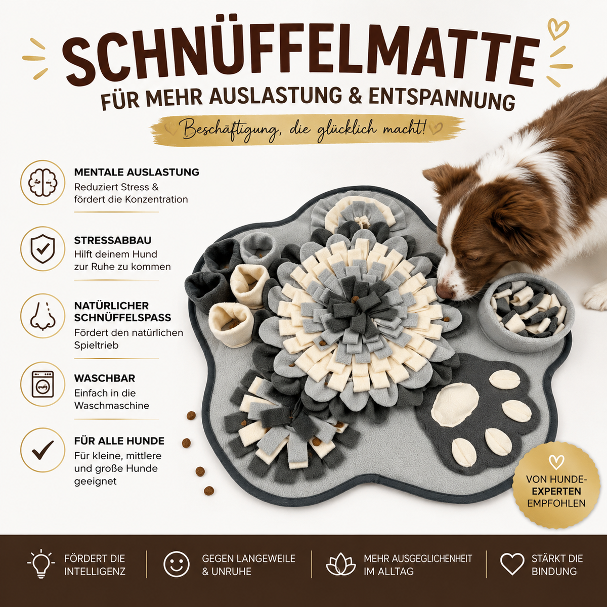 Schnüffelmatte für Hunde – Beschäftigung und Nasenarbeit