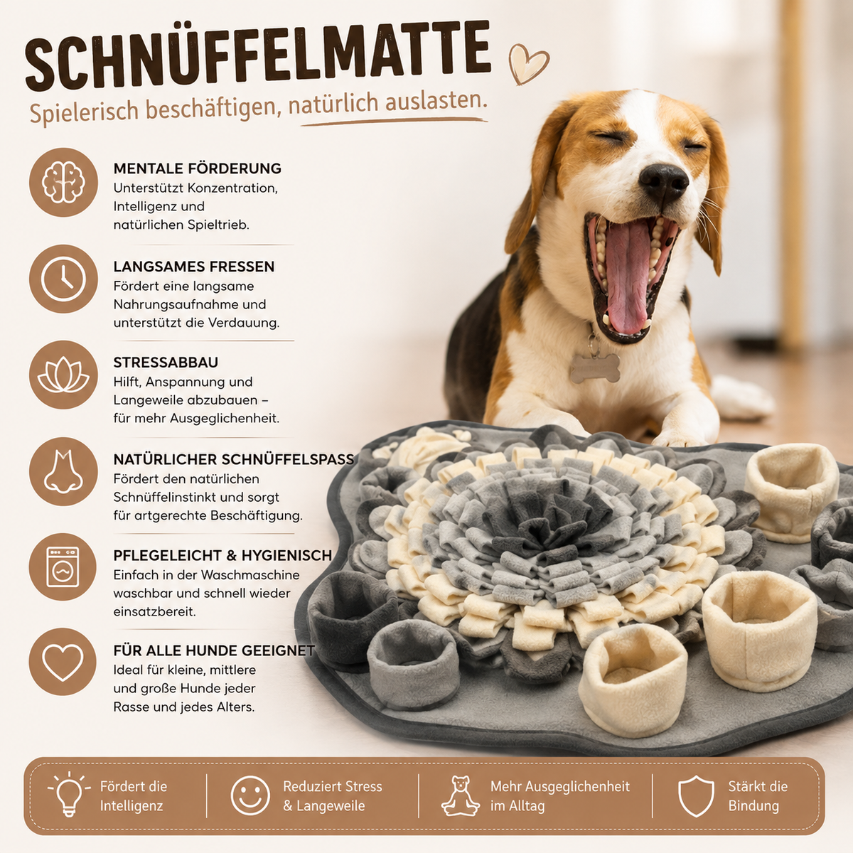 Schnüffelmatte für Hunde – Beschäftigung und Nasenarbeit