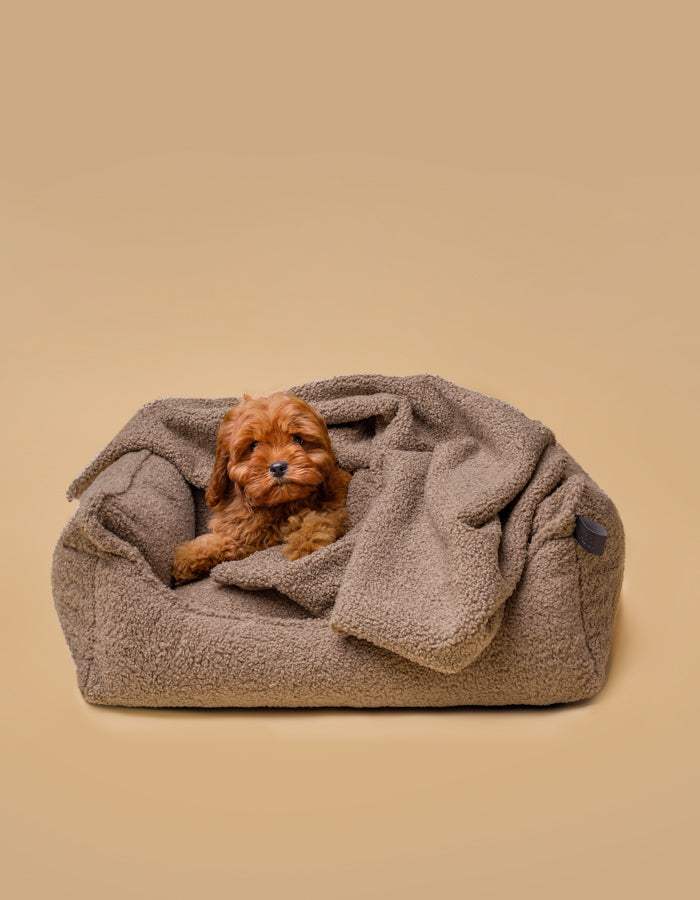 Kuscheldecke MINKY gemütlich und umweltfreundlich aus recycelten PET - Hundedeck