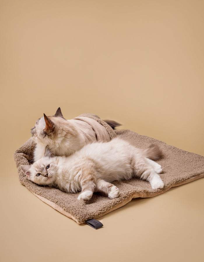 Kuscheldecke MINKY gemütlich und umweltfreundlich aus recycelten PET - Hundedeck