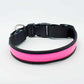 LED Hundehalsband, Stabiles Nylon Halsband für Hunde zum Aufladen