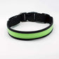LED Hundehalsband, Stabiles Nylon Halsband für Hunde zum Aufladen