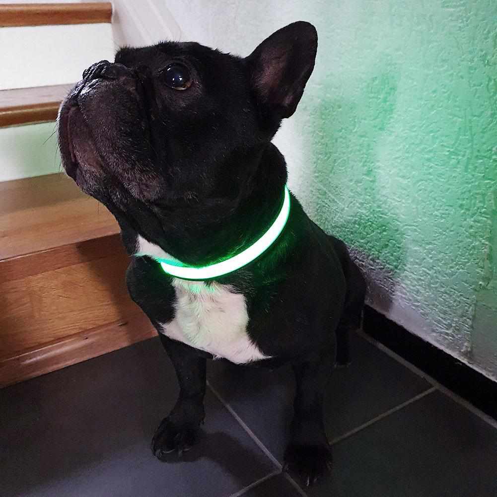 LED Hundehalsband, Stabiles Nylon Halsband für Hunde zum Aufladen