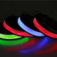 LED Hundehalsband, Stabiles Nylon Halsband für Hunde zum Aufladen
