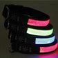 LED Hundehalsband, Stabiles Nylon Halsband für Hunde zum Aufladen