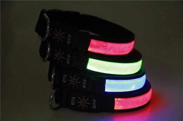 LED Hundehalsband, Stabiles Nylon Halsband für Hunde zum Aufladen