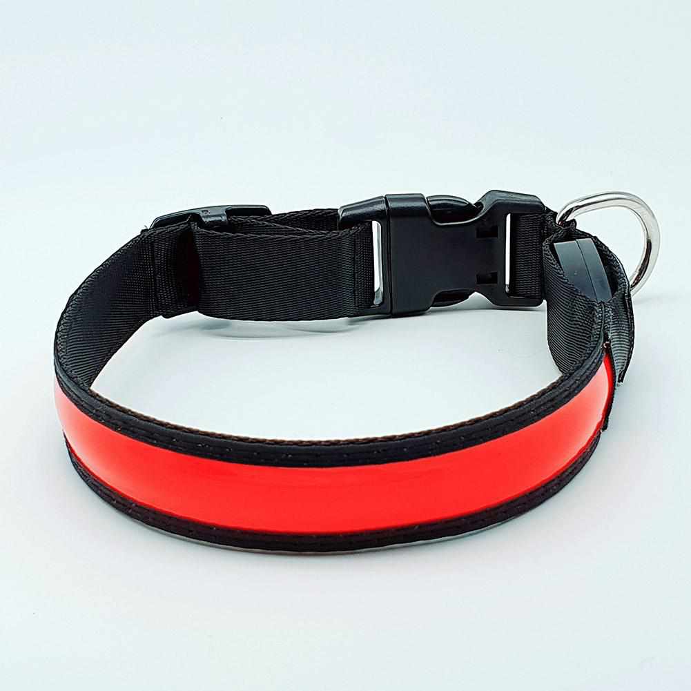LED Hundehalsband, Stabiles Nylon Halsband für Hunde zum Aufladen