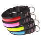 LED Hundehalsband, Stabiles Nylon Halsband für Hunde zum Aufladen