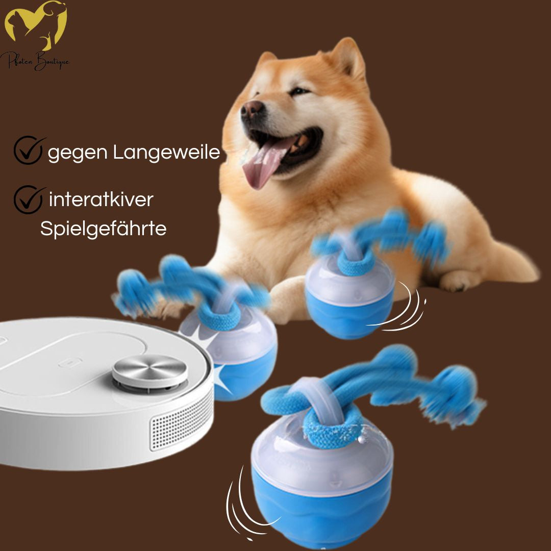 STRICKBALL gegen Langeweile – Intelligentes, selbst rollendes Hundespielzeug für aktive Hunde.