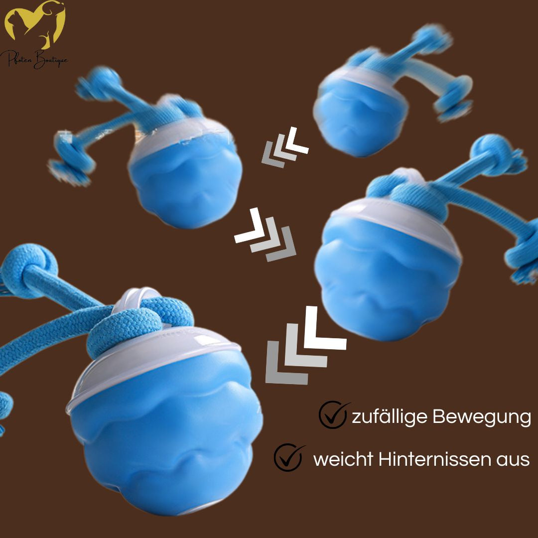 Schillernder STRICKBALL gegen Langeweile, batteriebetriebenes Hundespielzeug in Aktion.