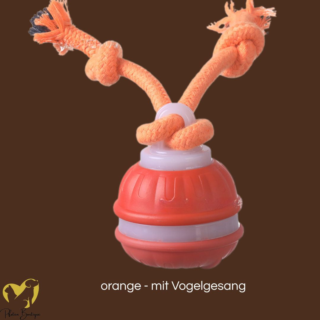 Strickball gegen Langeweile, perfektes Hundespielzeug für geistige und körperliche Aktivität.