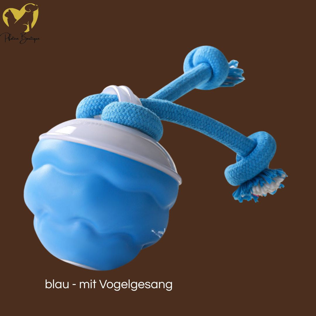 STRICKBALL gegen Langeweile, zeigt die Vorteile des intelligenten und beweglichen Hundespielzeugs.