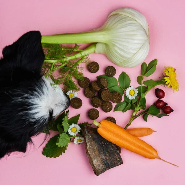 Tierliebhaber Gras und Kotfresser Drops gegen Sodbrennen