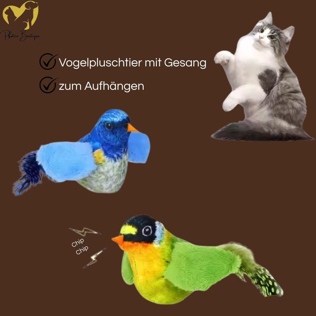 VOGELGESANG - Zwitschender Vogel Katzenspielzeug zum Aufhängen, bringt Bewegung und Spaß in den Alltag deiner Katze.