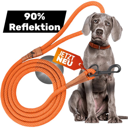 Reflektionsleine© mit Handschlaufe und veganem Leder in 4 Farben und Varianten