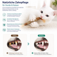ZAHNLIEBE Katzen-Zahnpflege – Kausticks zur Maulhygiene