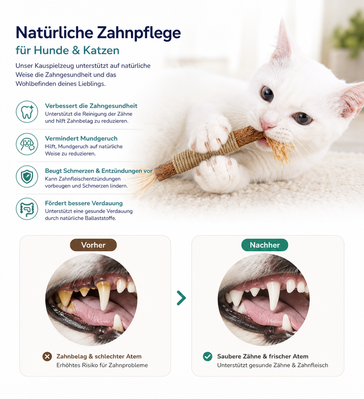 ZAHNLIEBE Katzen-Zahnpflege – Kausticks zur Maulhygiene