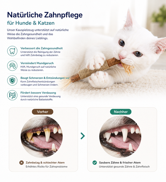 ZAHNLIEBE Katzen-Zahnpflege – Kausticks zur Maulhygiene
