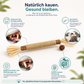 ZAHNLIEBE Katzen-Zahnpflege – Kausticks zur Maulhygiene
