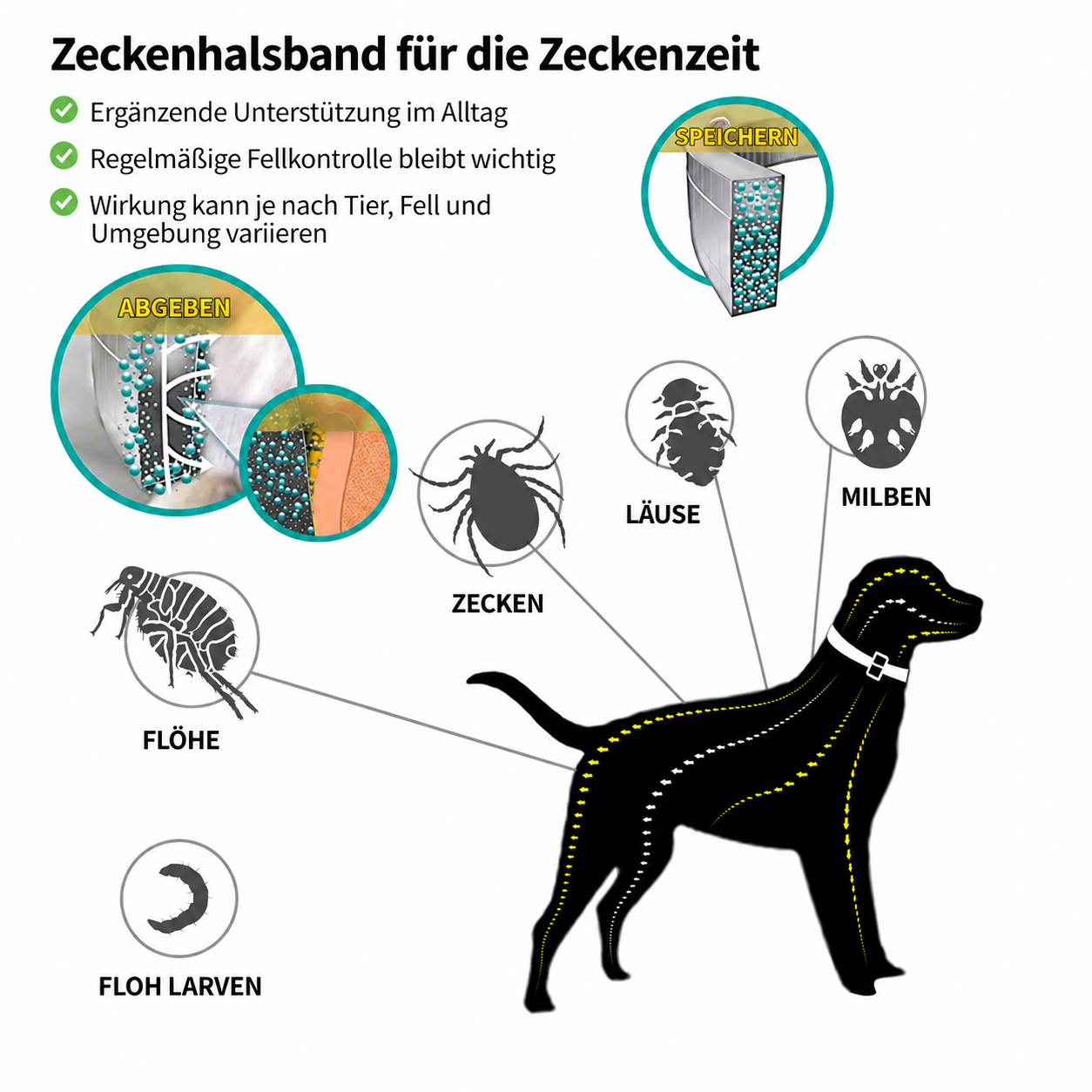 ZECKEN STOPP Hund – Zeckenhalsband für die Zeckenzeit