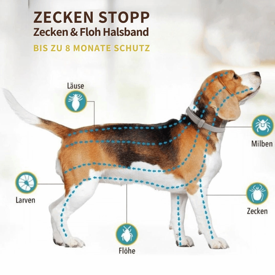 ZECKEN STOPP - Natürliches Zeckenschutz Halsband für Hunde, schützt bis zu 8 Monate ohne Chemie.