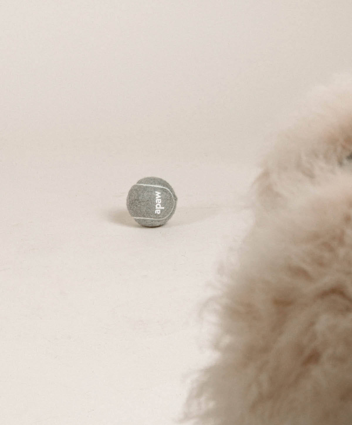 PLAY Set - Hundespielzeug zum Apportieren, Zerren und Werfen