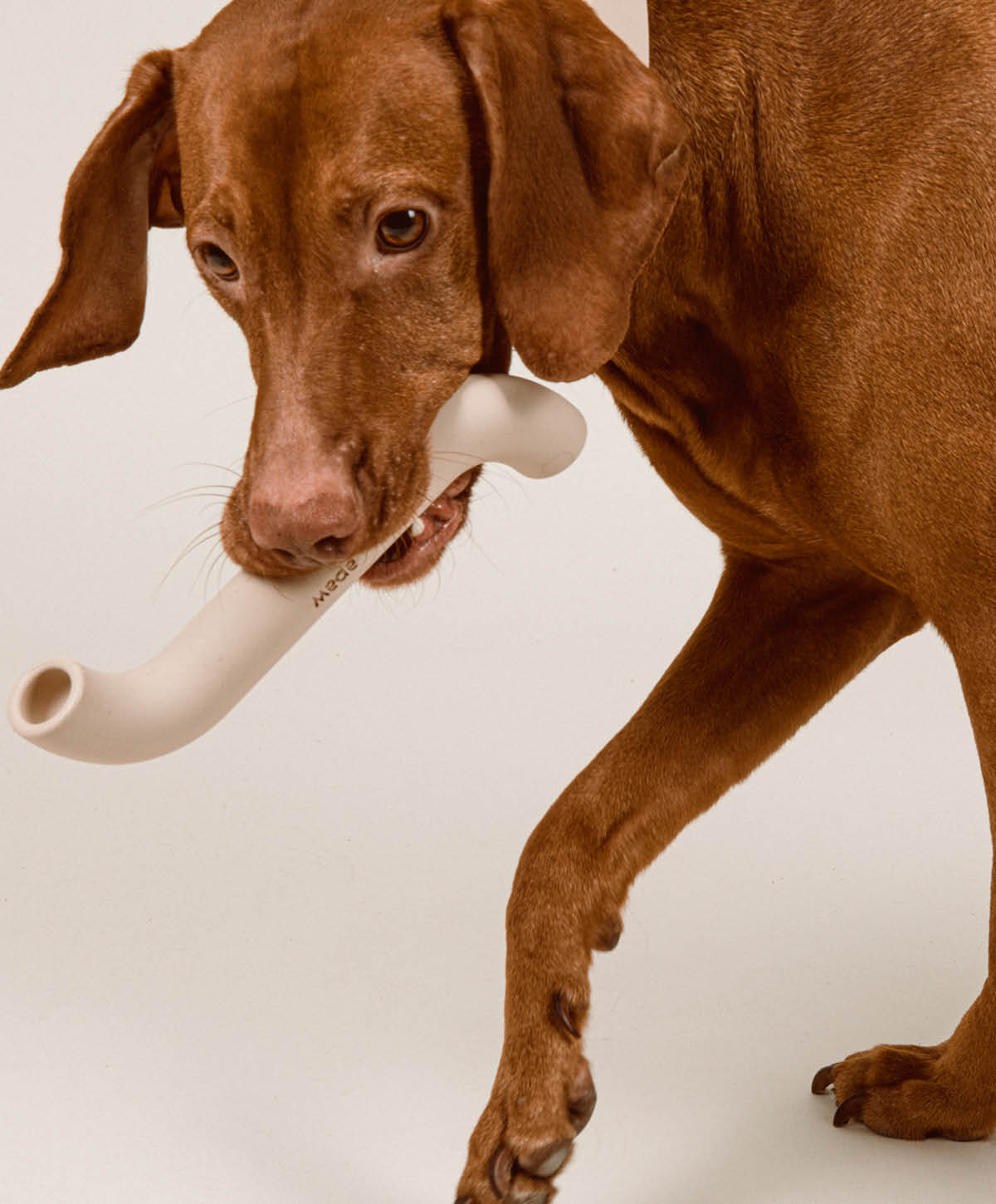 PLAY Set - Hundespielzeug zum Apportieren, Zerren und Werfen