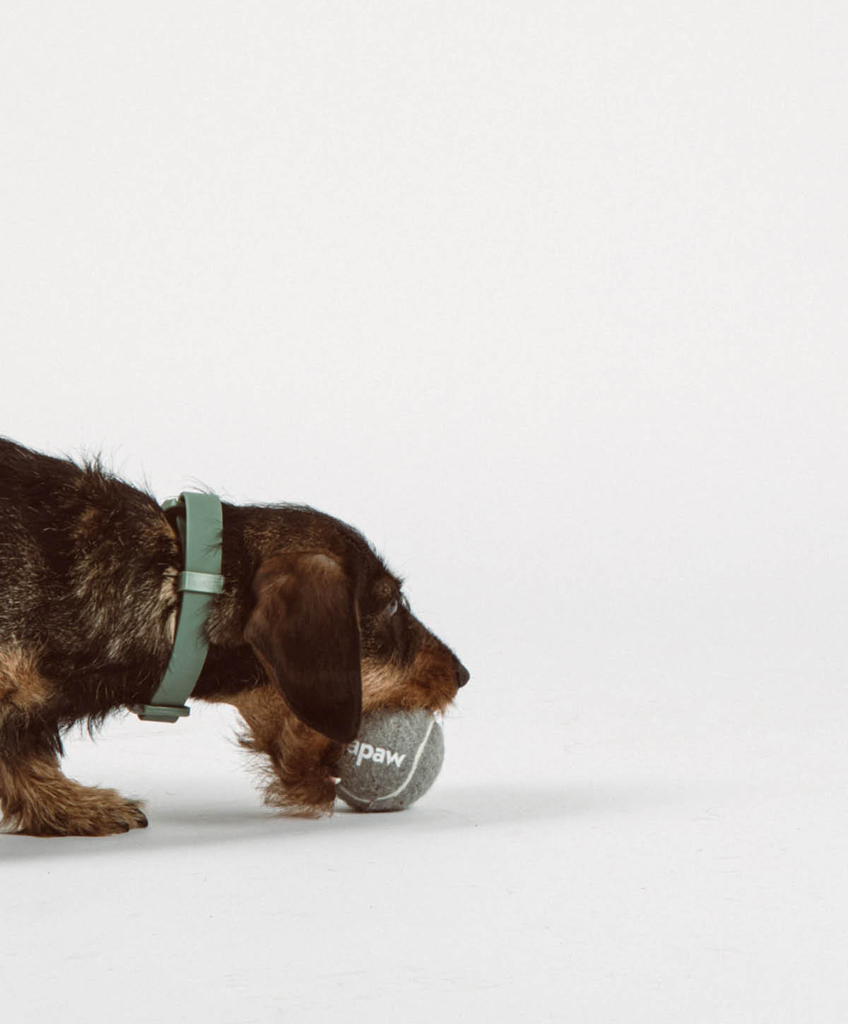 PLAY Set - Hundespielzeug zum Apportieren, Zerren und Werfen