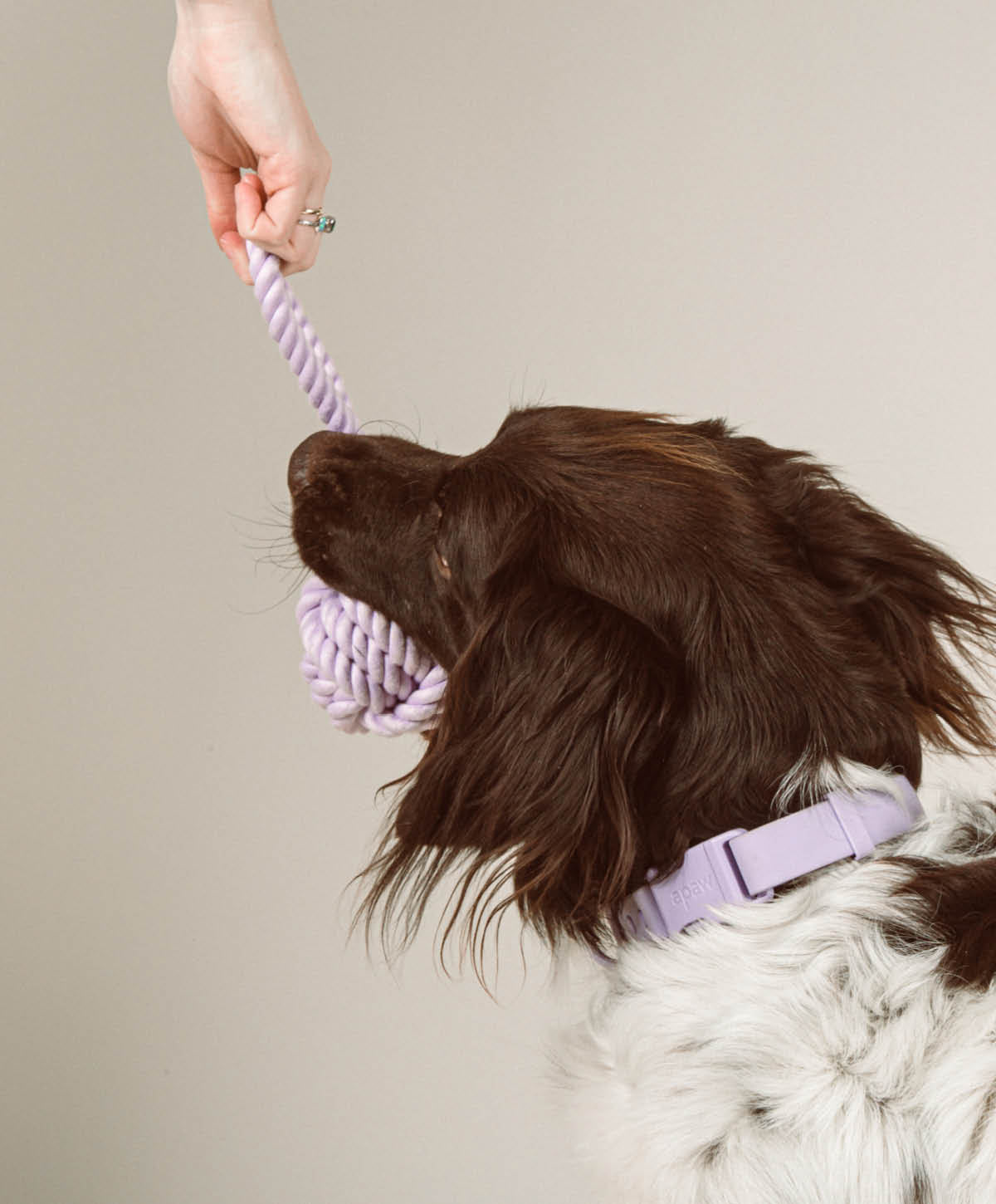 PLAY Set - Hundespielzeug zum Apportieren, Zerren und Werfen