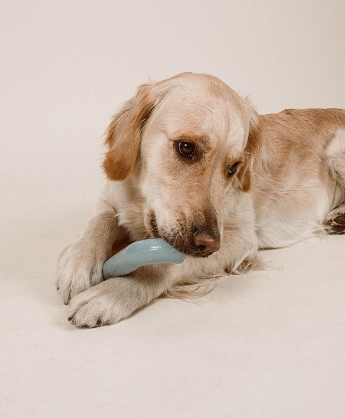 PLAY Set - Hundespielzeug zum Apportieren, Zerren und Werfen