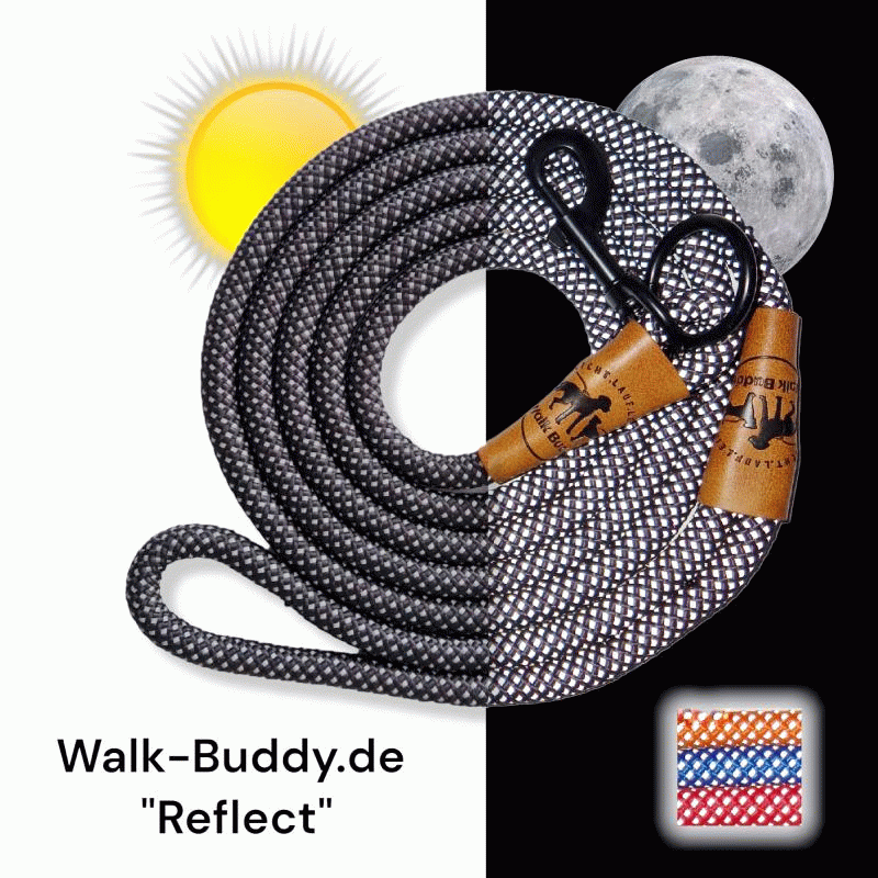 Reflektionsleine© mit Handschlaufe und veganem Leder in 4 Farben und Varianten
