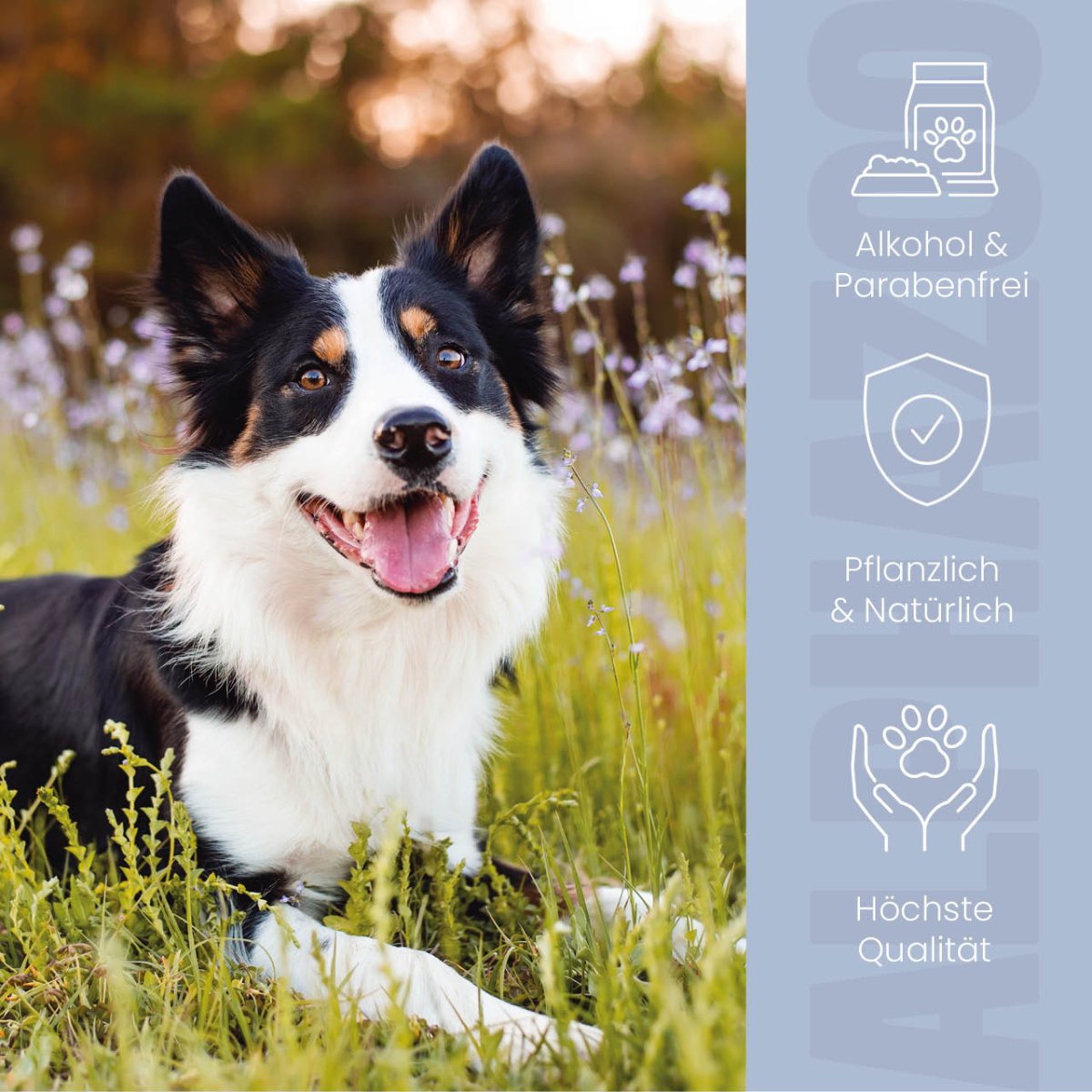 Brandlöscher Anti Juckreiz Spray für Hunde - Natürliche Hautpflege mit Kamille & Calendula