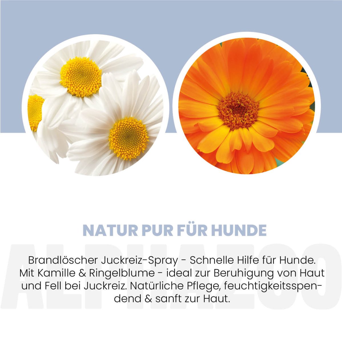 Brandlöscher Anti Juckreiz Spray für Hunde - Natürliche Hautpflege mit Kamille & Calendula