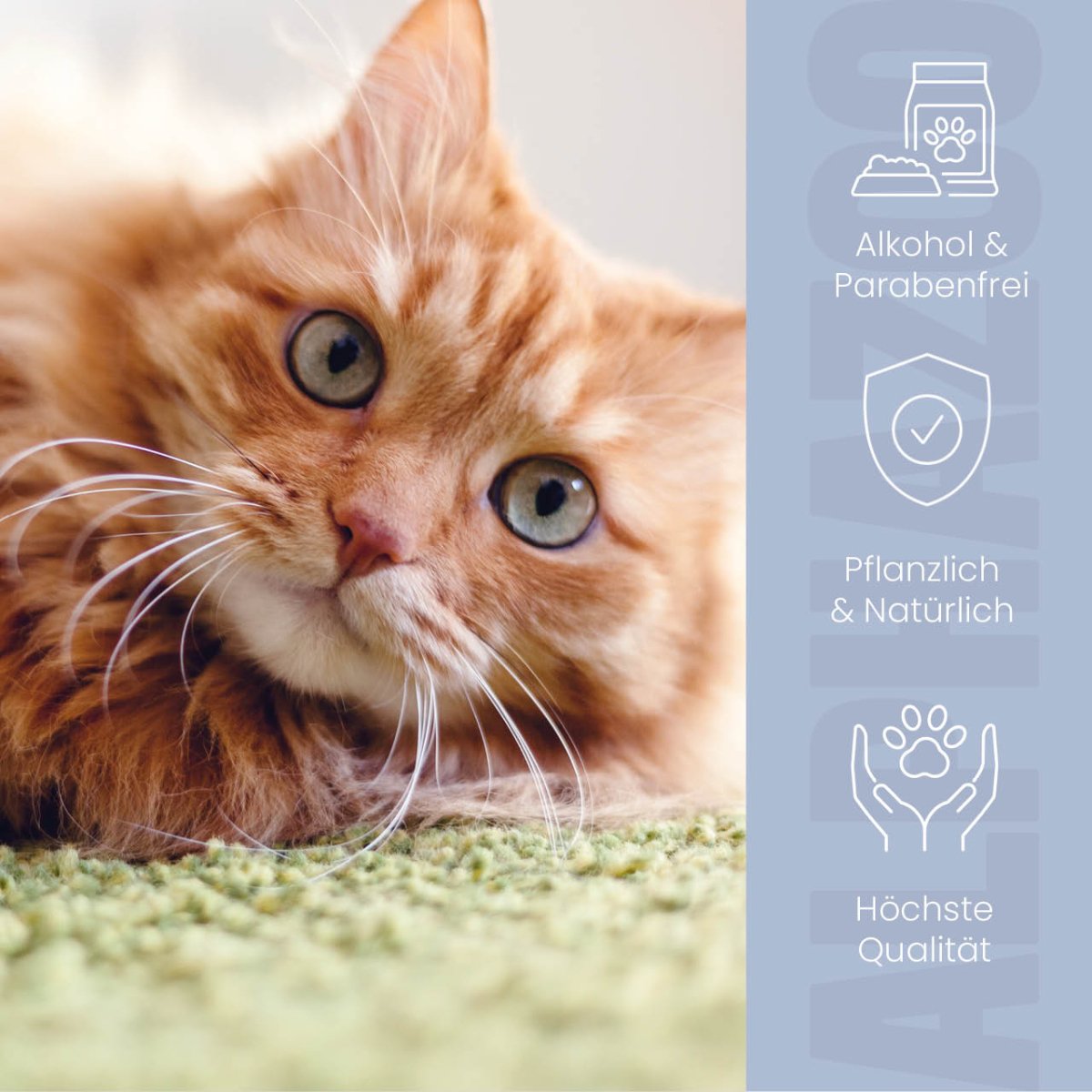 Brandlöscher Anti Juckreiz Spray für Katzen - Natürliche Hautpflege mit Kamille & Calendula