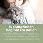 Darmonie Liquid für Katzen - Leinöl mit Wermut, Thymian & Aloe Vera für Katzenverdauung