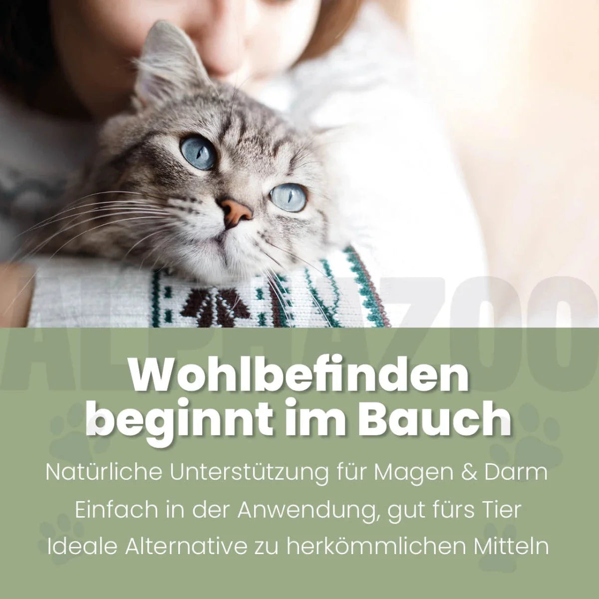 Darmonie Liquid für Katzen - Leinöl mit Wermut, Thymian & Aloe Vera für Katzenverdauung