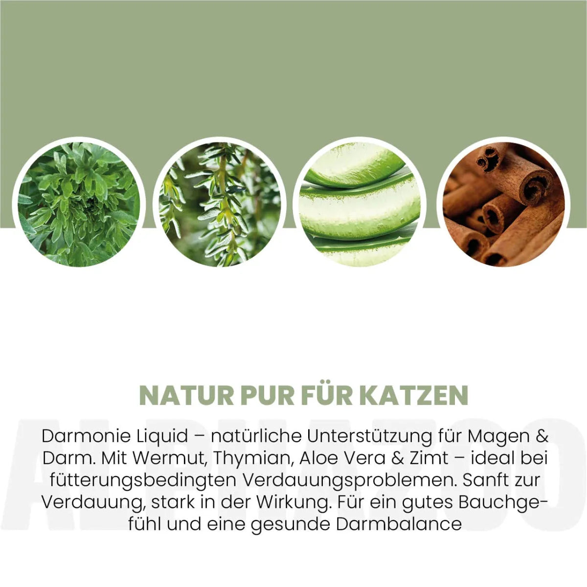 Darmonie Liquid für Katzen - Leinöl mit Wermut, Thymian & Aloe Vera für Katzenverdauung