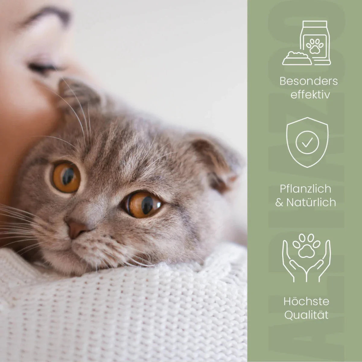Darmonie Liquid für Katzen - Leinöl mit Wermut, Thymian & Aloe Vera für Katzenverdauung