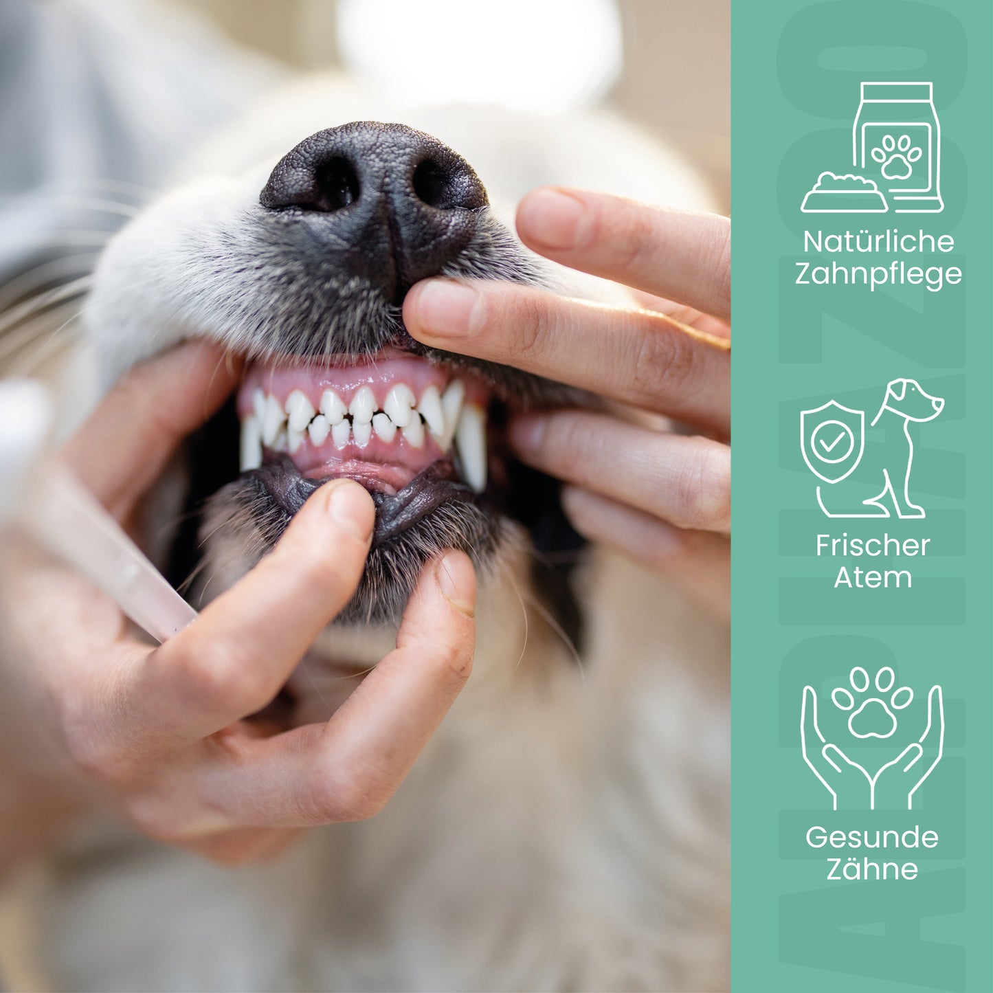 Zähne Zeigen Dentalstick - Zahnpflege Hund Kausnack gegen Zahnbelag & Mundgeruch