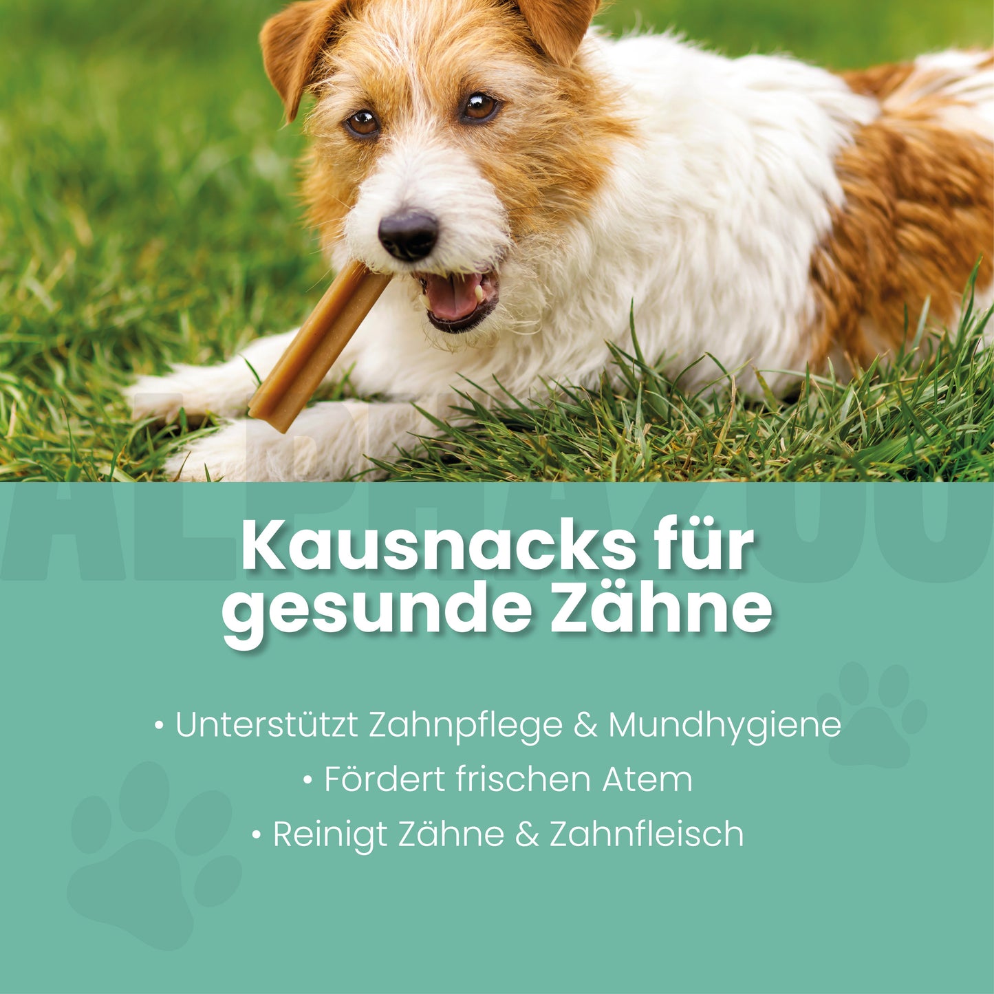 Zähne Zeigen Dentalstick - Zahnpflege Hund Kausnack gegen Zahnbelag & Mundgeruch