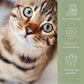 Fellliebe Futteröl für Katzen - Lachsöl mit Arganöl & Mandelöl für Haut und Fell